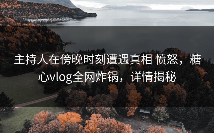 主持人在傍晚时刻遭遇真相 愤怒，糖心vlog全网炸锅，详情揭秘